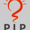 P I P Electrical Services